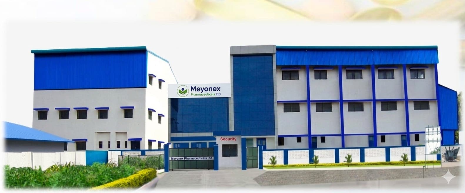 Meyonex pharmaceutical hero